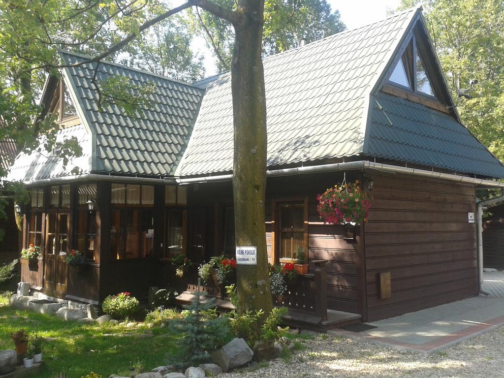 Pokoje Goscinne Za Wnukiem Zakopane Exterior foto
